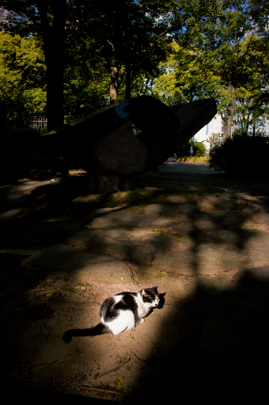 20120513-SDIM3391