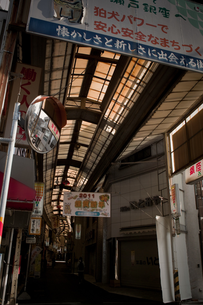 20110104-SDIM1697