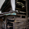 20120624-SDIM3451