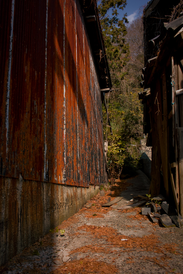 20130102-SDIM0107