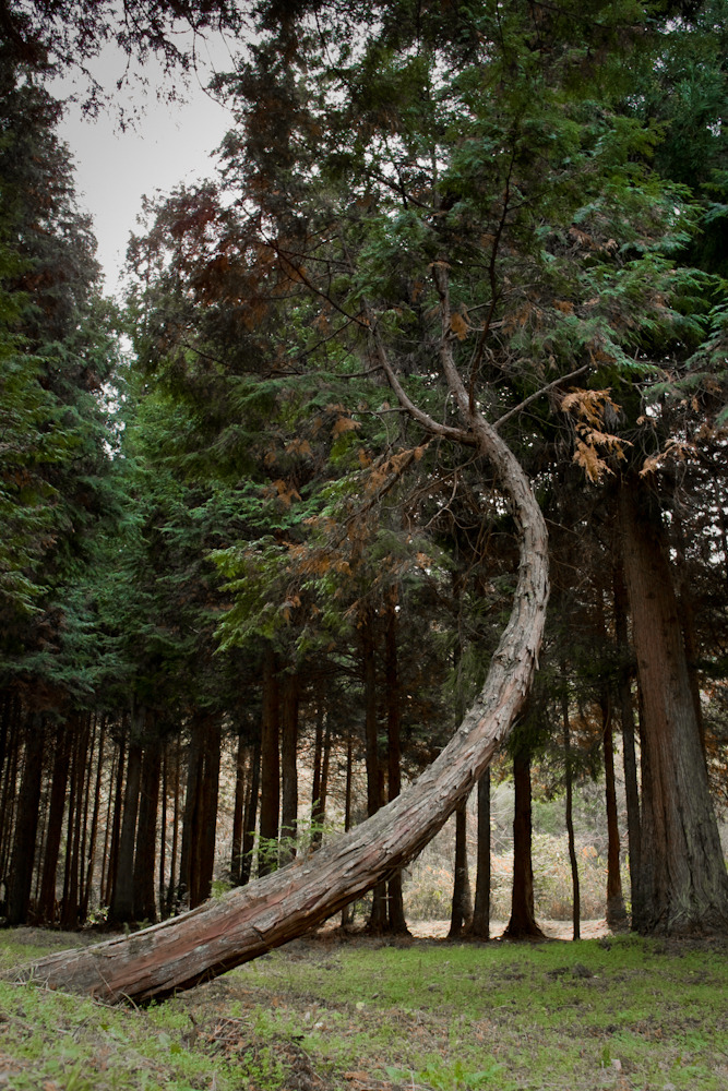 20101226-SDIM1692