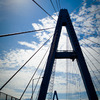 SDIM0736