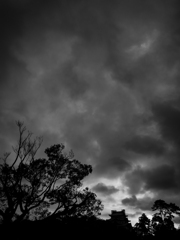 IMG_2510