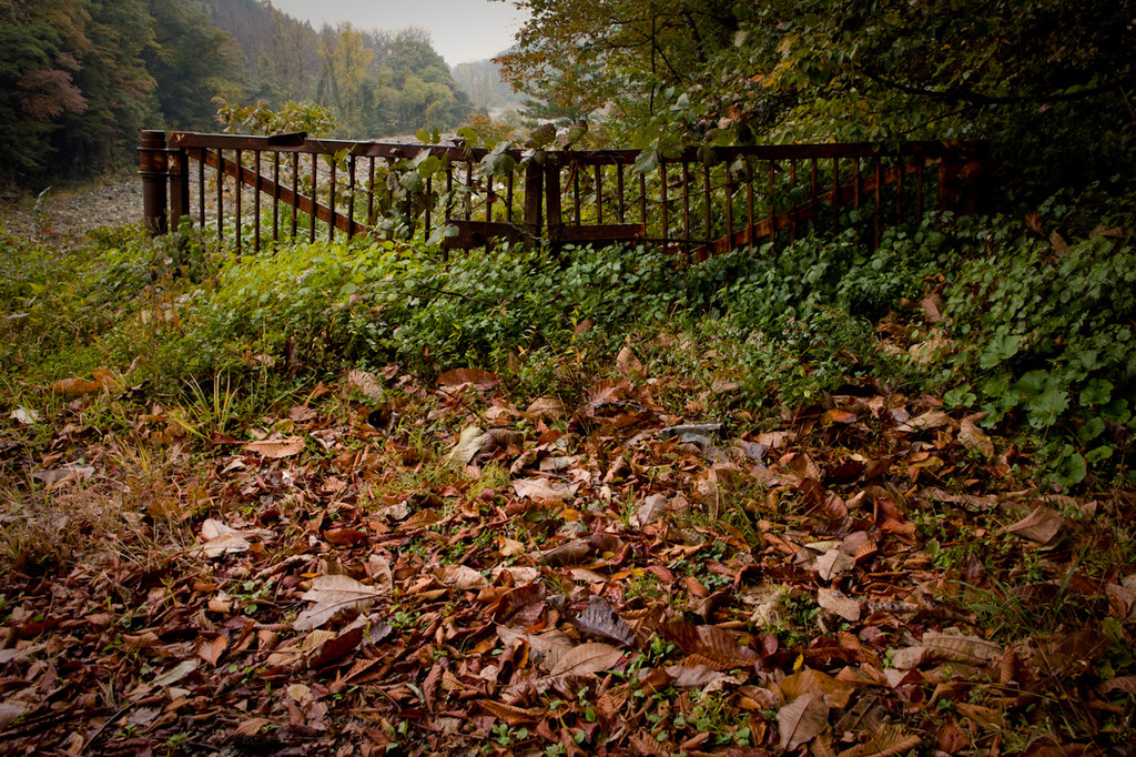 20091018-SDIM1053
