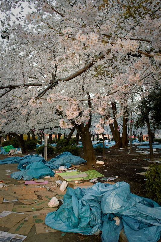 20120409-SDIM3320