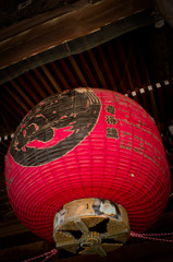 20100322-SDIM1270