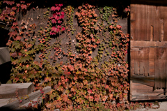 20121116-SDIM0073