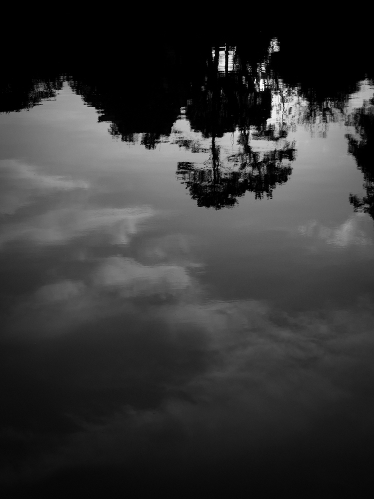 IMG_2444