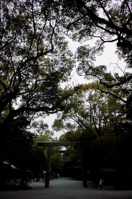 20120330-SDIM3295