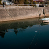 20130102-SDIM0105