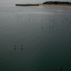 20120318-SDIM3275