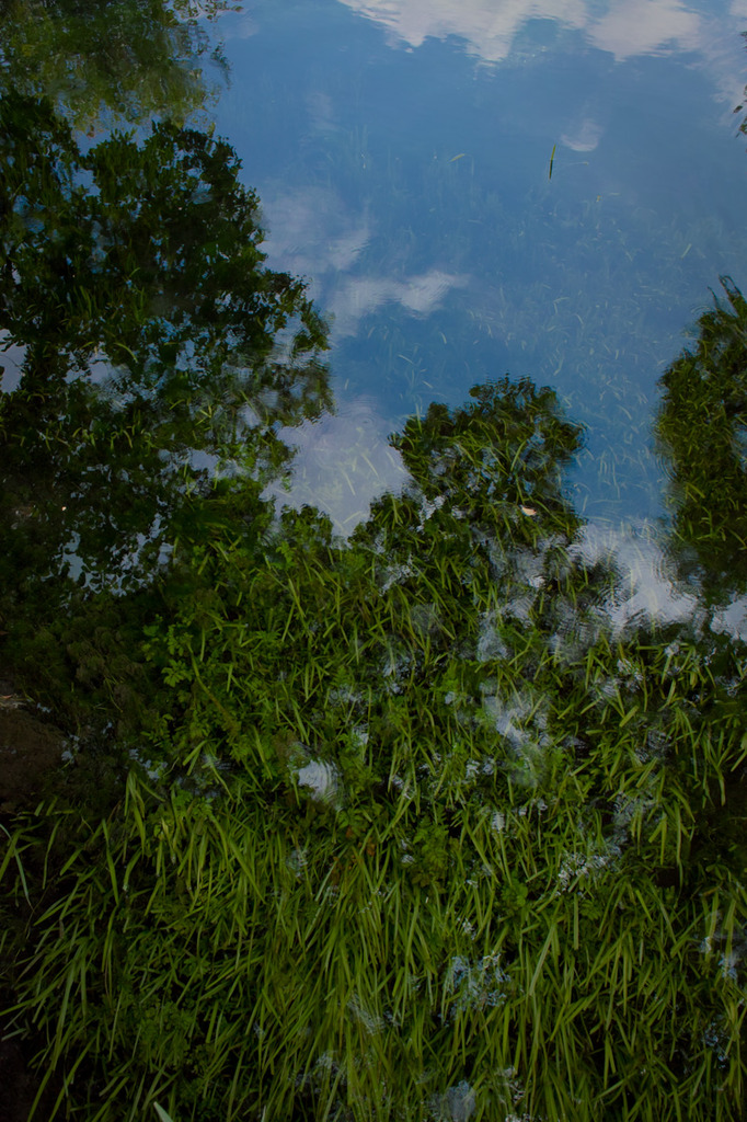 SDIM0789