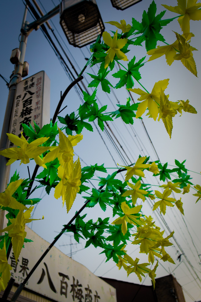 SDIM0798