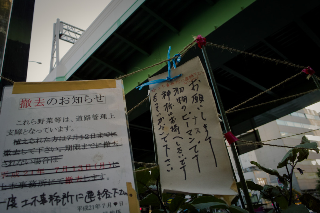 SDIM0764
