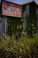 20110906-SDIM3055
