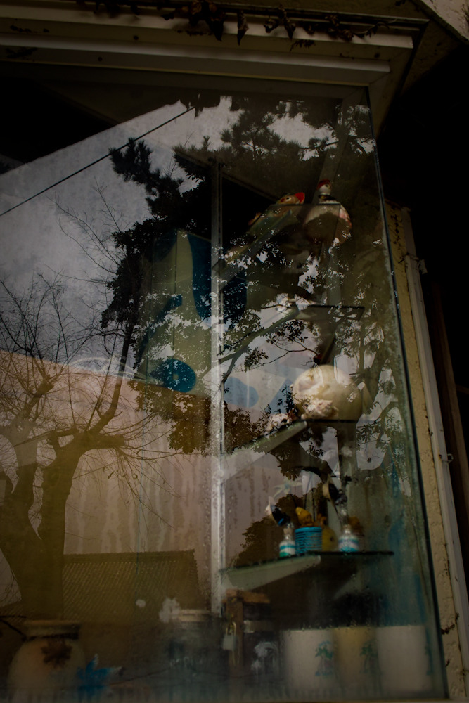 20100216-SDIM1220