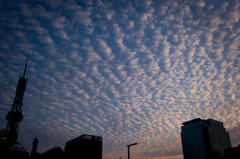 20110908-SDIM3058