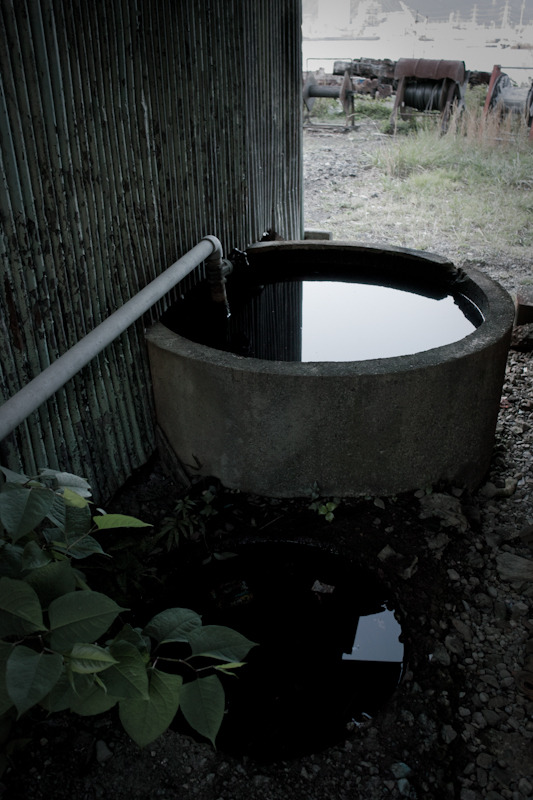 20110429-SDIM2890