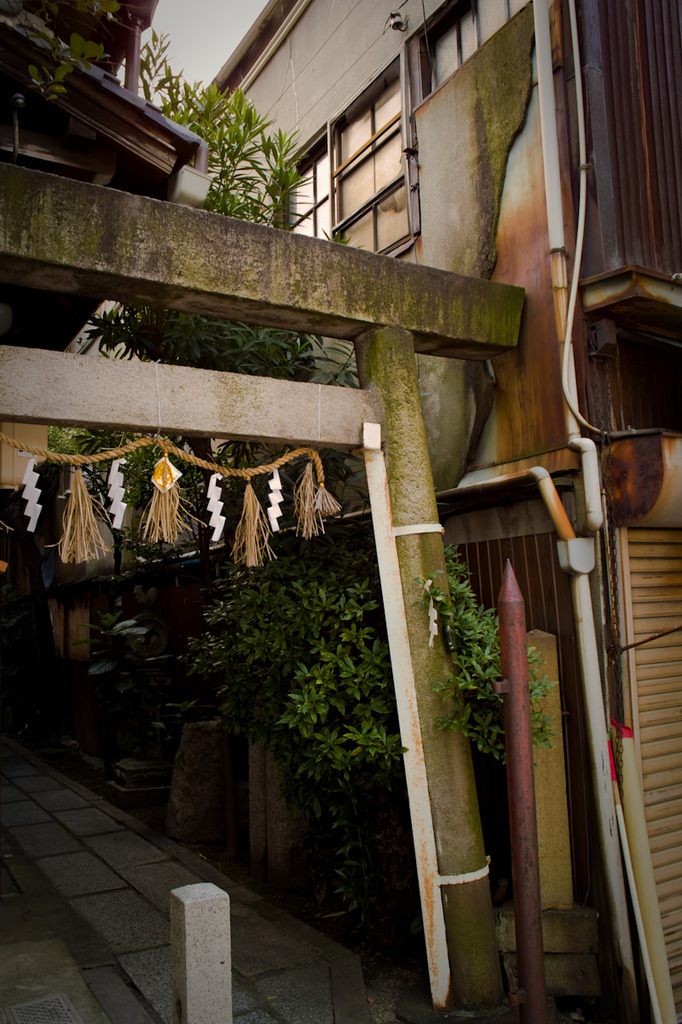 20090819-SDIM0924