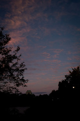 20091118-SDIM1109