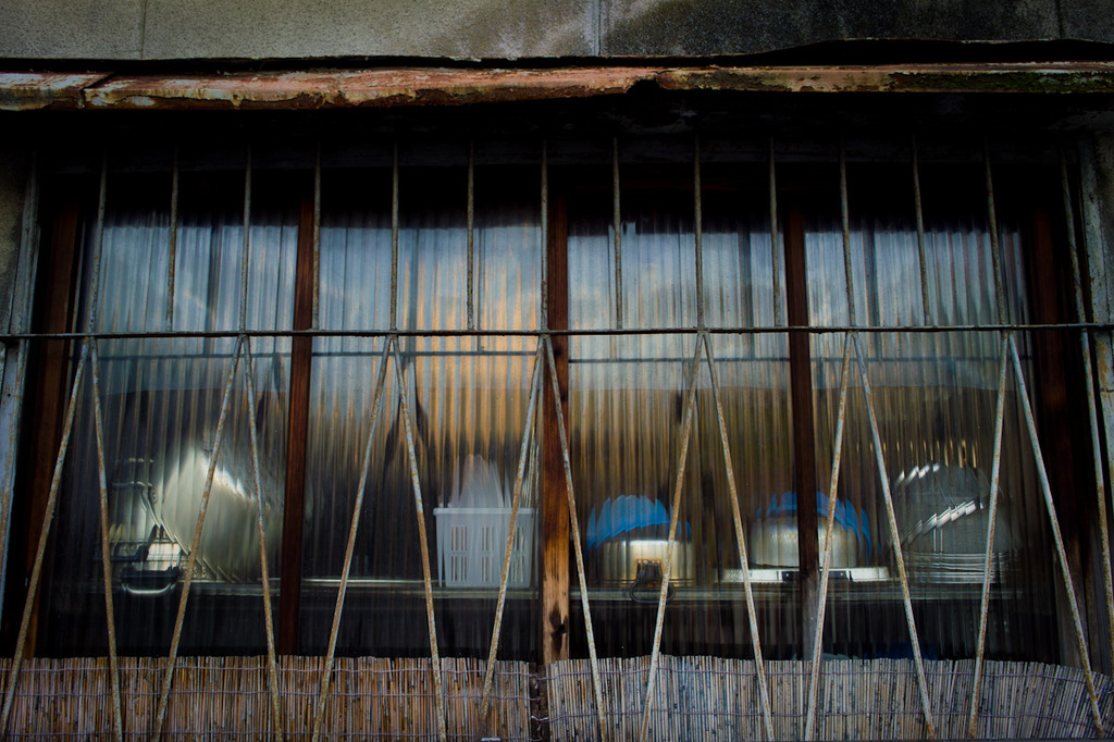 20090803-SDIM0843