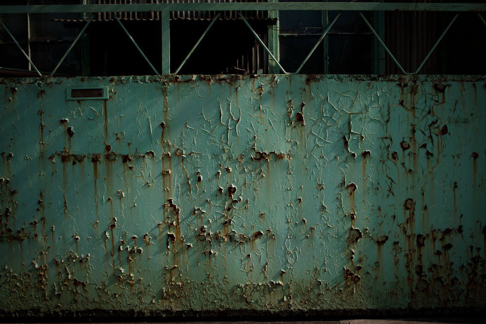 20110129-SDIM1729