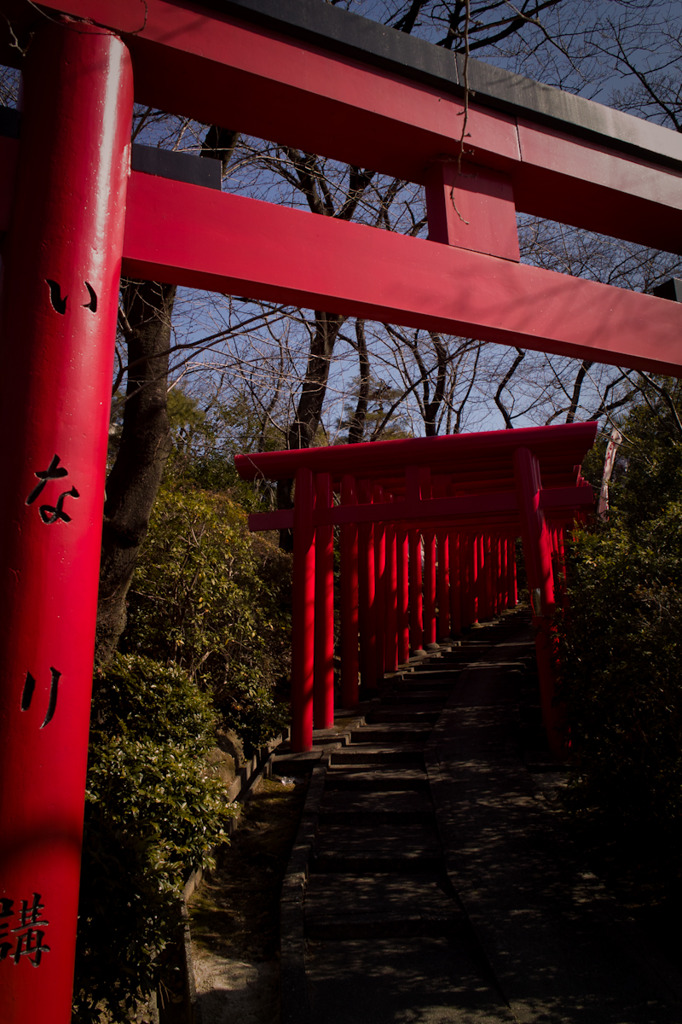 20100207-SDIM1199