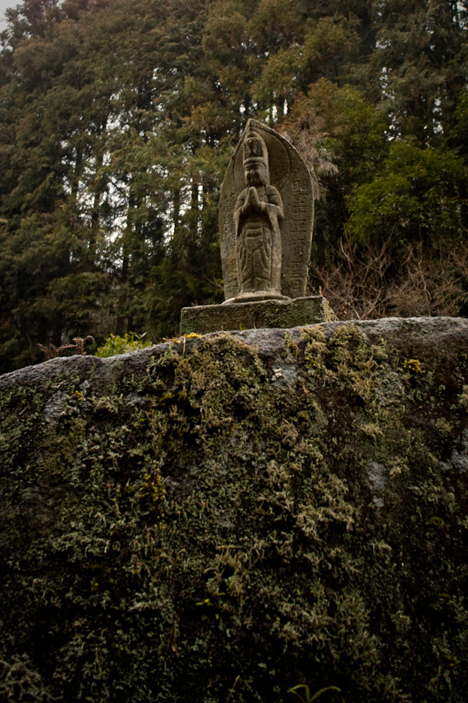 20100131-SDIM1195