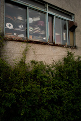20090801-SDIM0834