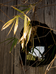 20130415-IMG_0134