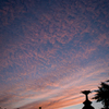 20121002-SDIM0008