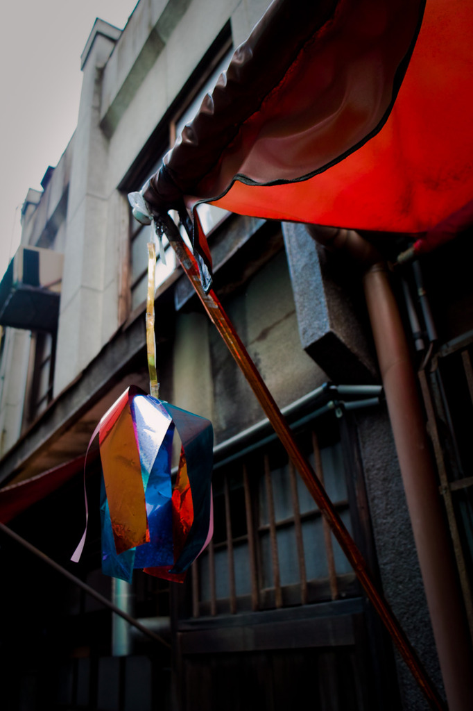 20090803-SDIM0841
