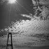 SDIM0737