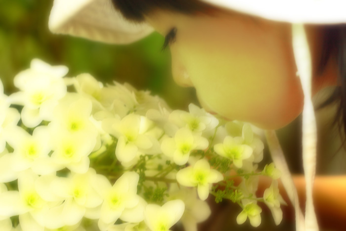 あじさいKiss