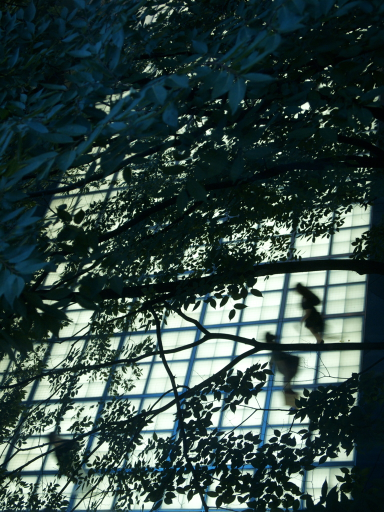 Walking on light