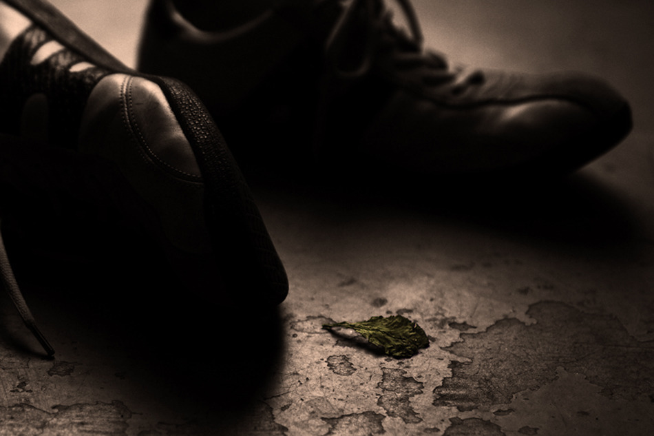 Leaf