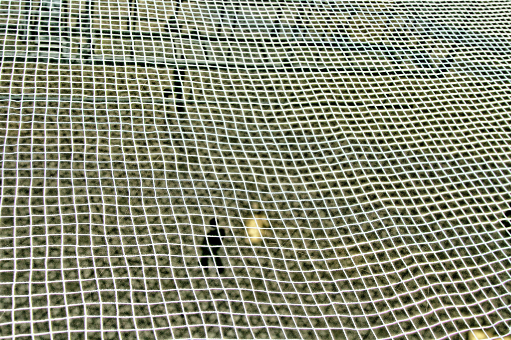 Walk under net