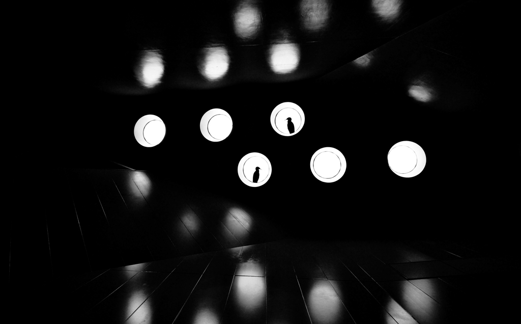 circular window 