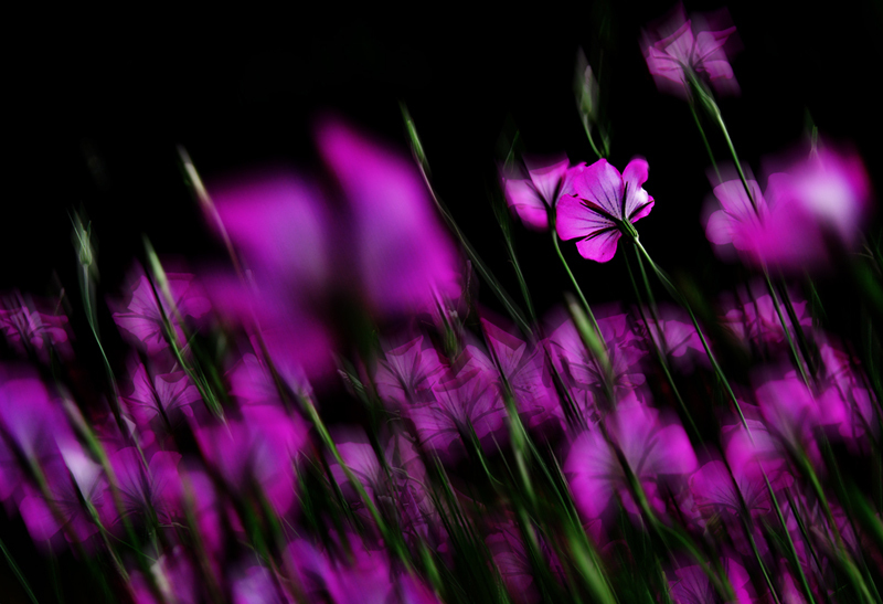 sway