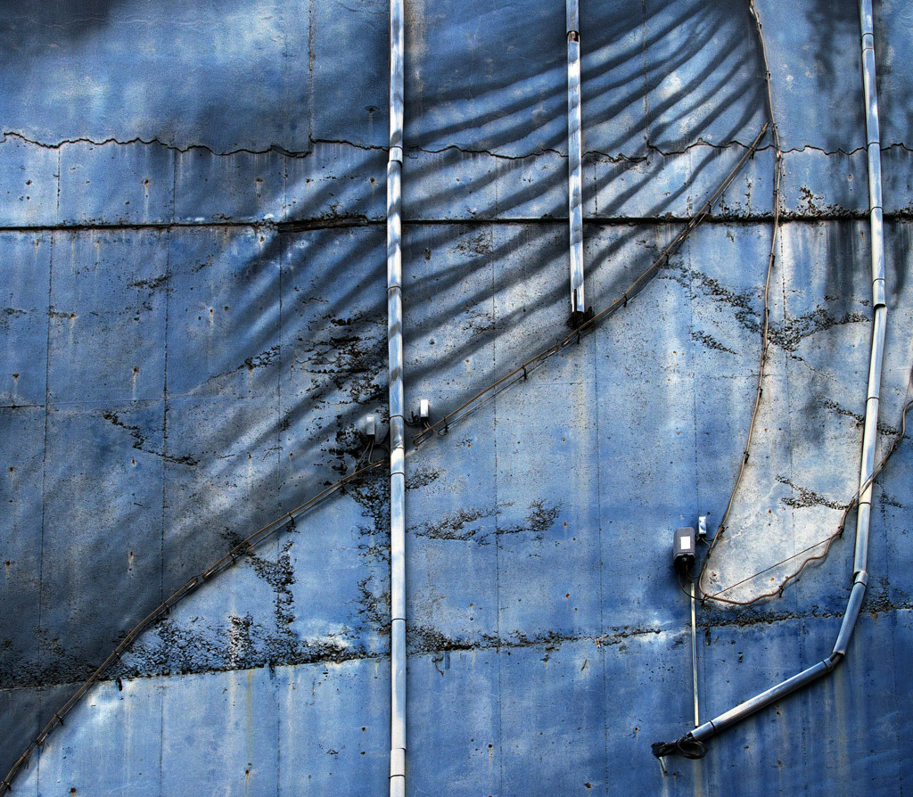 Whale's wall