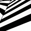 On zebra