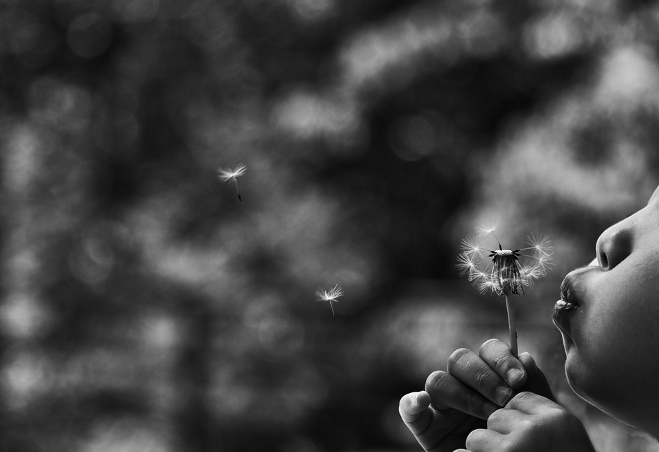 kindly breeze
