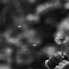 kindly breeze