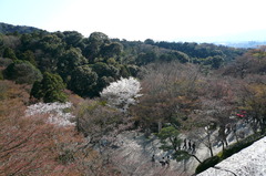 京都