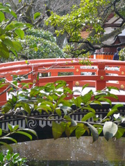 京都