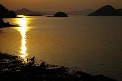 島の夕景・何かを獲る人