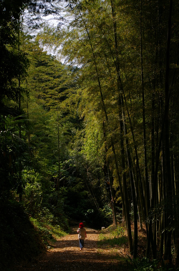 神社から帰る道