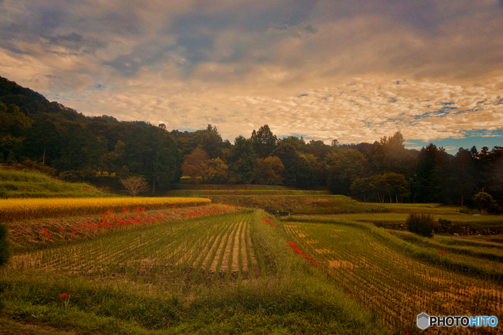 秋の情景02＠修学院離宮