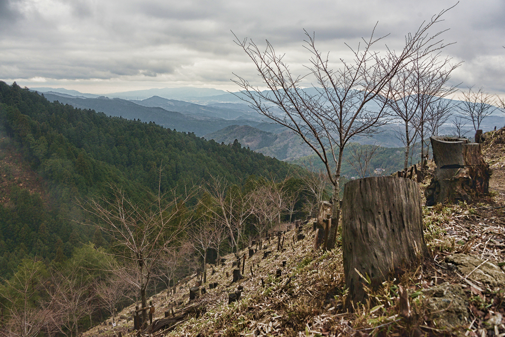 荒野の風景04＠吉野山