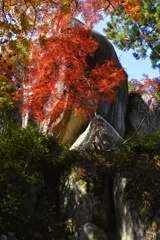 笠置山の秋模様10